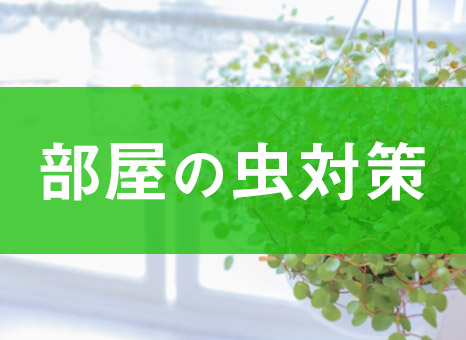 アパート 部屋に虫が入る理由とは 効果的な対策を5つご紹介 ゼロすむブログ 賃貸暮らしを快適にするためのお役立ちメディア